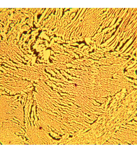 MAGUS Metal D600 metalurginis skaitmeninis mikroskopas