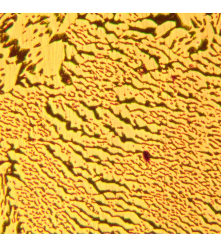 MAGUS Metal D600 LCD metalurginis skaitmeninis mikroskopas