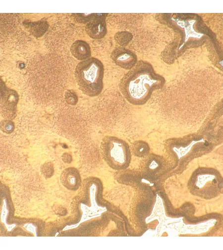 MAGUS Metal D650 Metallurgical Digital Microscope