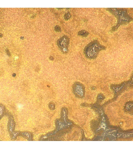 MAGUS Metal D650 LCD Metallurgical Digital Microscope