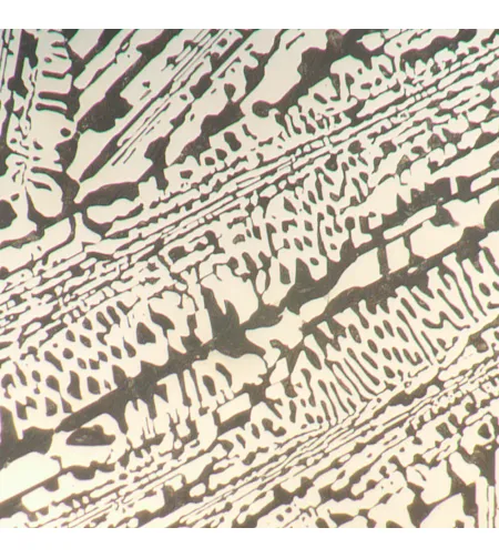 MAGUS Metal D650 BD Металлургический цифровой микроскоп