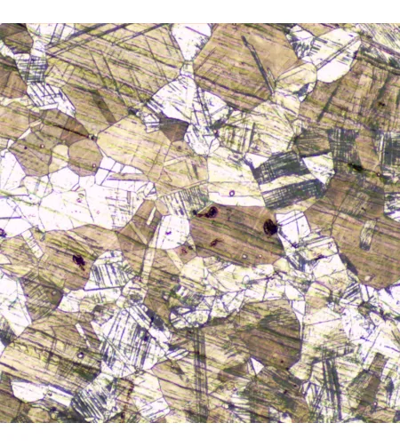 MAGUS Metal VD700 Metallurgical Inverted Digital Microscope