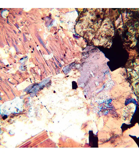 MAGUS Pol D800 Поляризационный цифровой ЖК-микроскоп