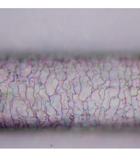 MAGUS Pol D800 Поляризационный цифровой ЖК-микроскоп