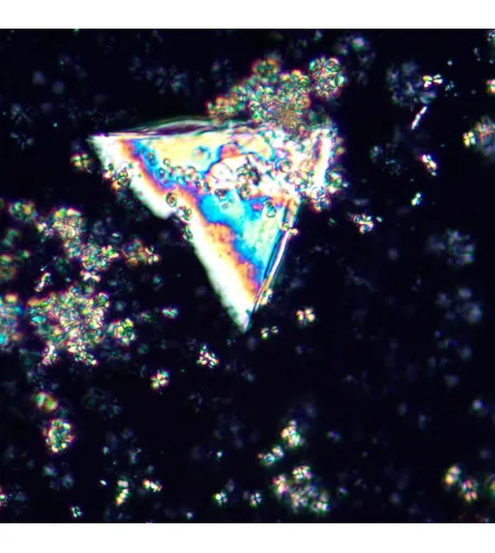 MAGUS Pol D850 Polarizing Digital Microscope