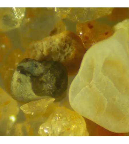 Цифровой стереомикроскоп MAGUS Stereo D9T с ЖК-дисплеем