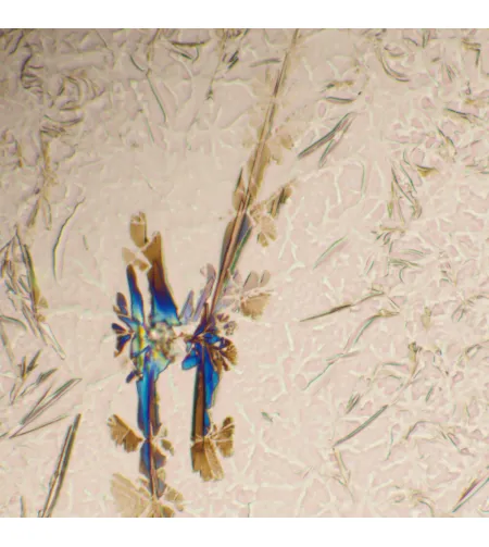 MAGUS Bio 290T Biological Microscope