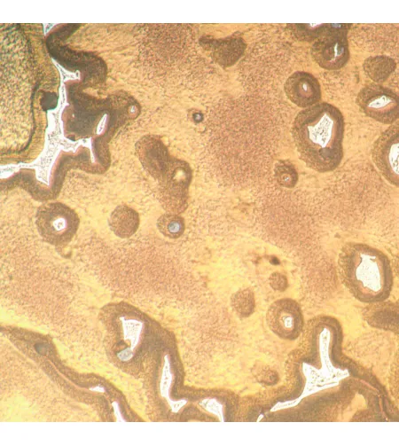 MAGUS Metal V790 DIC Metallurgical Inverted Microscope