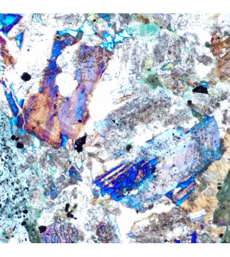 MAGUS Pol 890 Polarizing Microscope