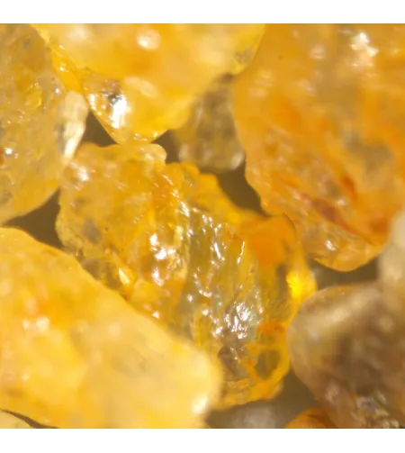 MAGUS Stereo A18T Stereomicroscope