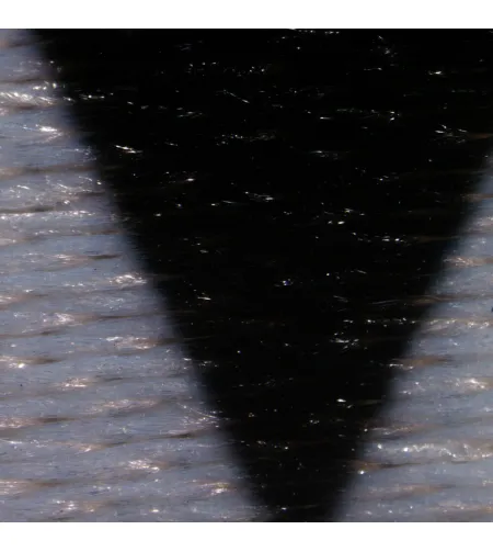 MAGUS Stereo 8B Stereomicroscope