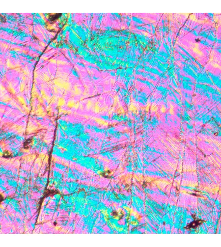 MAGUS Metal V700 DIC Metallurgical Inverted Microscope