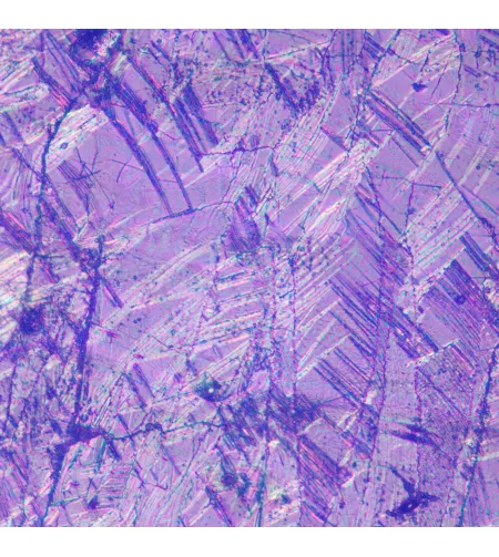 MAGUS Metal V700 DIC Metallurgical Inverted Microscope