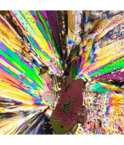 MAGUS SPD2 Polarizer/Analyzer Set