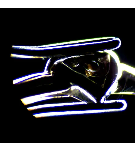 MAGUS Stereo D7T LCD BASE skaitmeninis stereomikroskopas