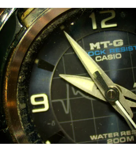 MAGUS Stereo D8T BASE Цифровой стереомикроскоп