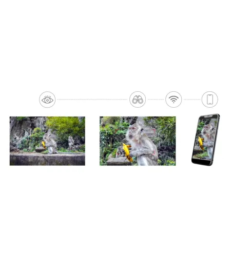 Levenhuk Kelvin Snap ED 8x42 Digital Photobinoculars