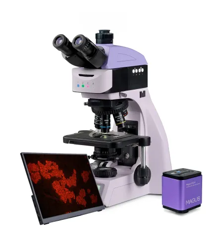 MAGUS Lum D460L LCD fluorescencinis skaitmeninis mikroskopas