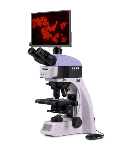 MAGUS Lum D460L LCD fluorescencinis skaitmeninis mikroskopas