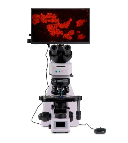 MAGUS Lum D460L LCD fluorescencinis skaitmeninis mikroskopas