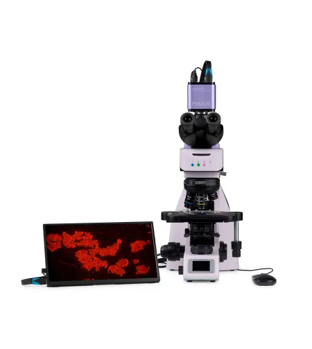 MAGUS Lum D460L LCD fluorescencinis skaitmeninis mikroskopas