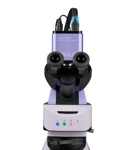 MAGUS Lum D460L LCD fluorescencinis skaitmeninis mikroskopas