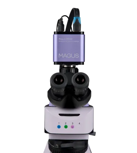 MAGUS Lum D460L LCD fluorescencinis skaitmeninis mikroskopas