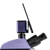 MAGUS Lum D460L LCD fluorescencinis skaitmeninis mikroskopas