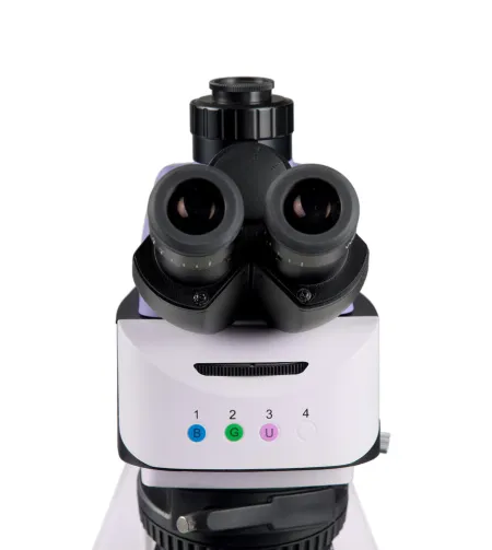 MAGUS Lum 460L Fluorescence Microscope