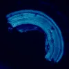 MAGUS Lum 460L Fluorescence Microscope