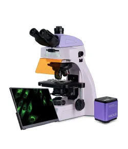 MAGUS Lum D450L LCD fluorescencinis skaitmeninis mikroskopas