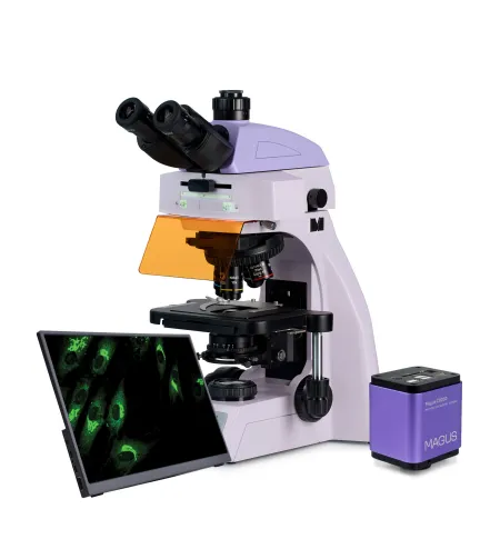 MAGUS Lum D450L LCD fluorescencinis skaitmeninis mikroskopas