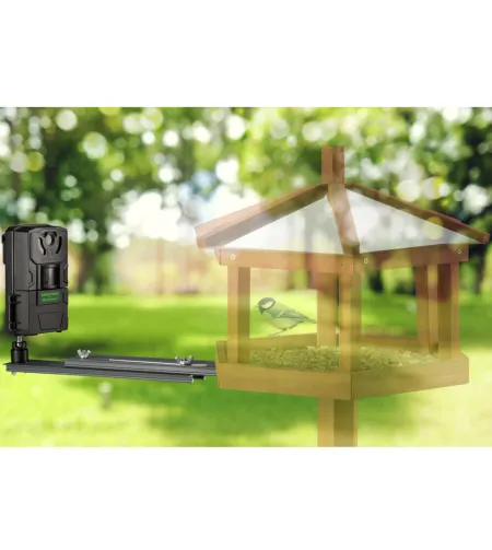 FREEK VONK paukščių smulkių gyvūnų kamera