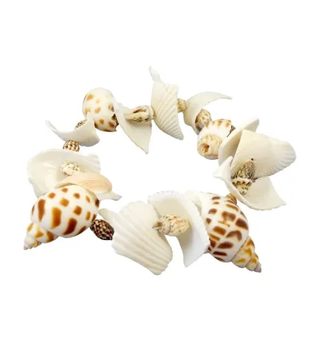 Dig Kit, Buki, Shells