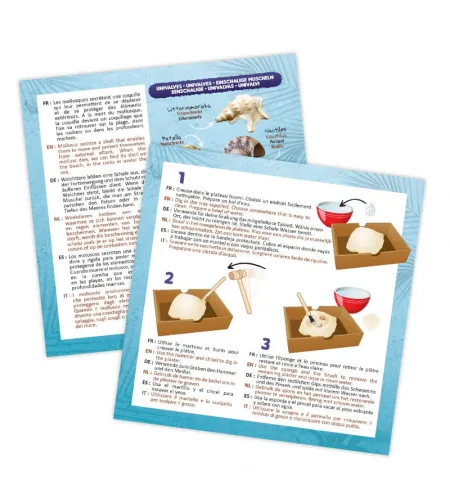 Dig Kit, Buki, Shells