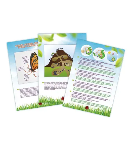 Buki Insect Explorer Kit
