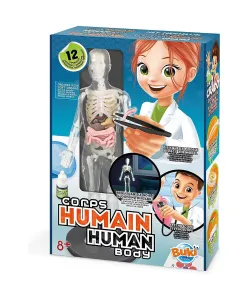 Experiment kit, Buki, Human Body