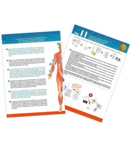 Experiment kit, Buki, Human Body