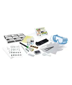 Pirštų atspaudai, Buki