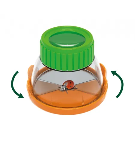 Буки Террариум