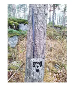 Belaidė (4G, 3G, 2G) Trail kameros maitinimo stiebo antena 39cm NITEforce