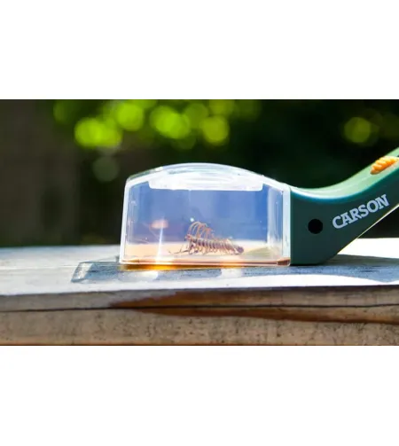 Carson Bugview - vabzdžių gaudyklė su įmontuotu padidinamuoju stiklu