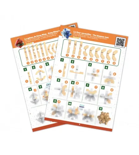 Smegenų ekspertas Buki