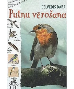 Gamtos vadovas: paukščių stebėjimas