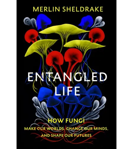 (ENG)Запутанная жизнь: как грибы созд. наши миры, меняют наше сознание и форм. наше будущ
