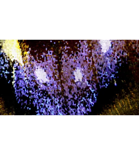 Стереомикроскоп BRESSER Science ETD-301 7-63x Trino Zoom