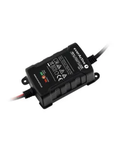 everActive CBC-1 6V / 12V 1000mA полностью автоматическое зарядное устройство до 1.1Ah + (