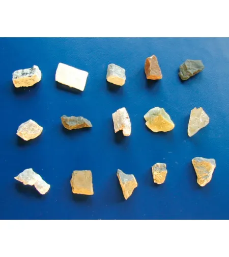 Stereomikroskopas Biolux ICD 20x BRESSER