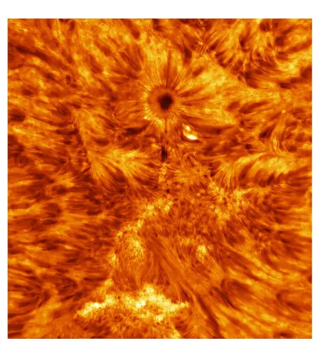 Телескоп Tecnosky AC 210/1200 Goliath OTA