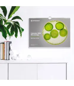 BRESSER Kalendorius 2022 m. Mikroskopija